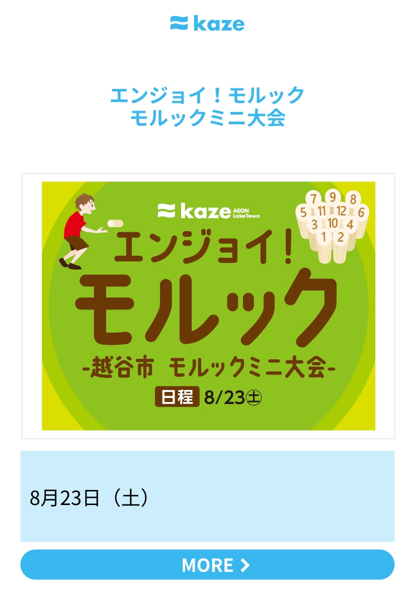 エンジョイ！モルック モルックミニ大会