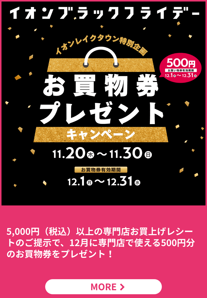 ブラックフライデー イオン特別企画 500円お買物券プレゼント