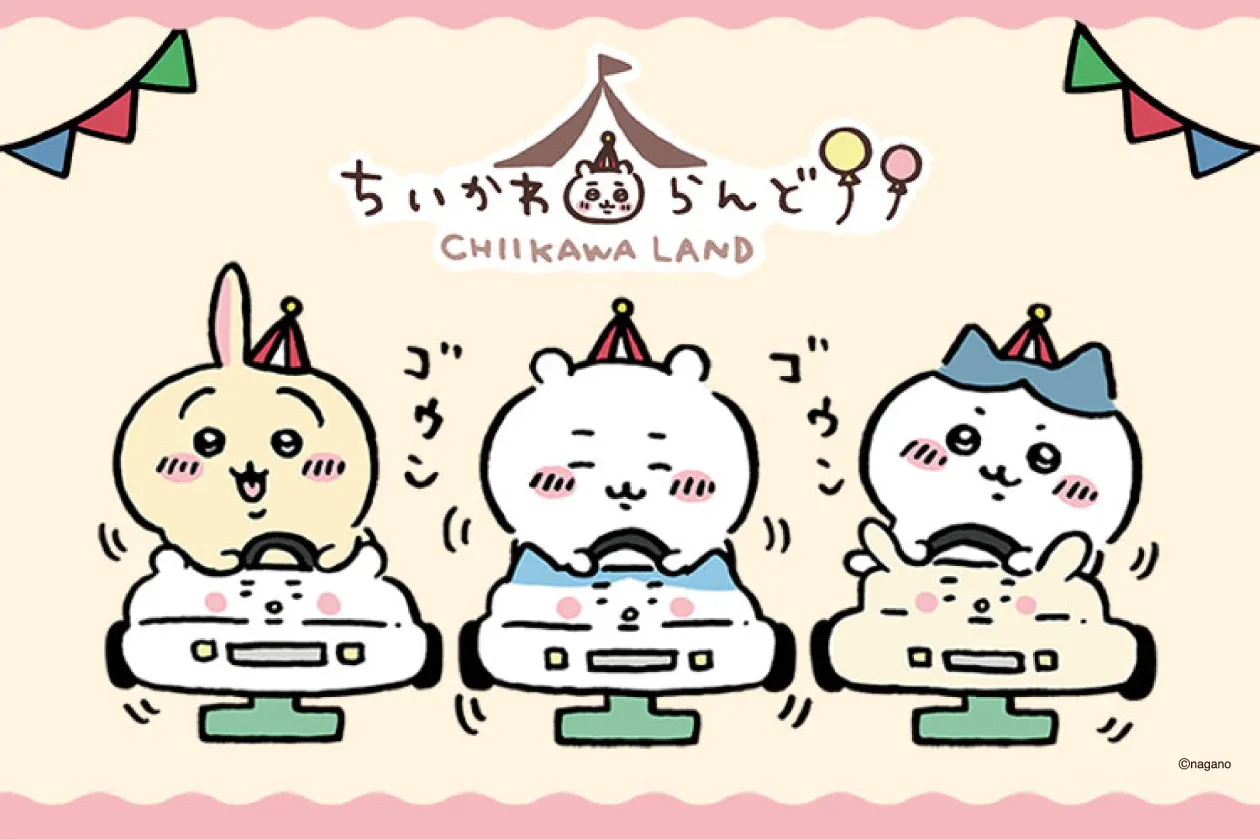 イメージ写真